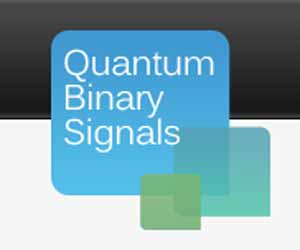 Quantum Binary Signals Review